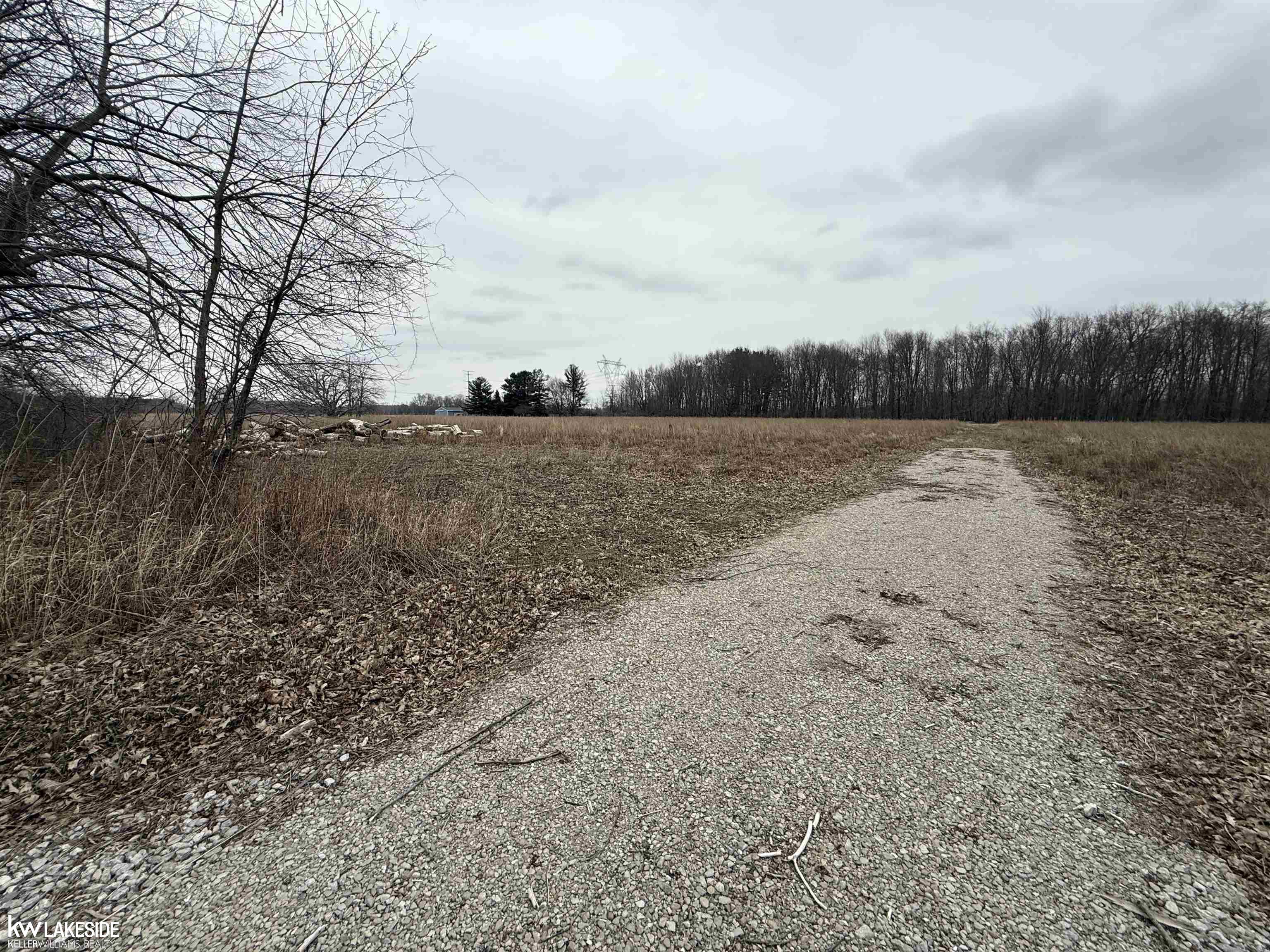 0 Cove Road Goodells, MI 48027 - Photo 5 of 25