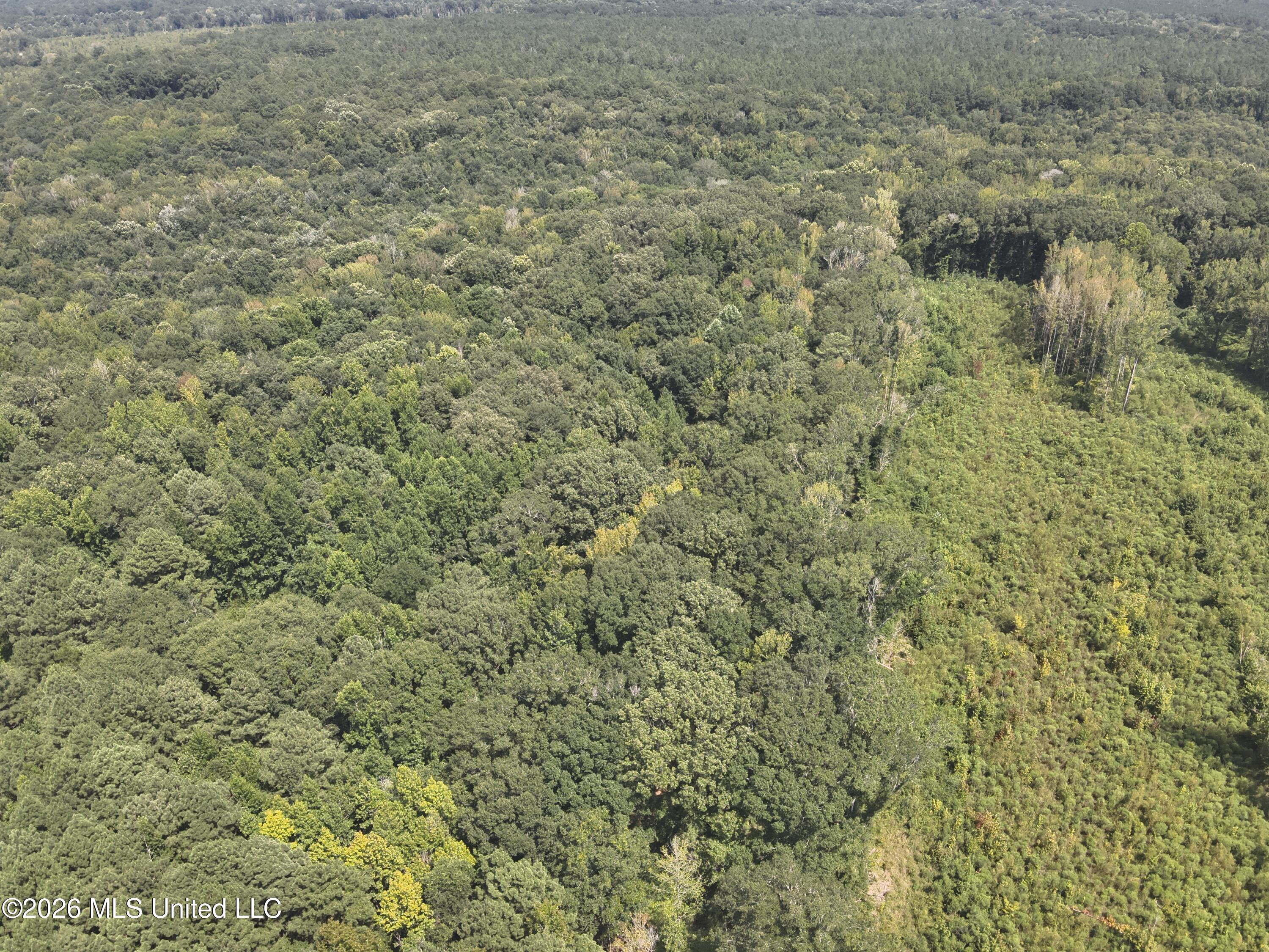 149 Gober Road Camden, MS 39045 - Photo 15 of 26 DJI_20260728150716_0017_V