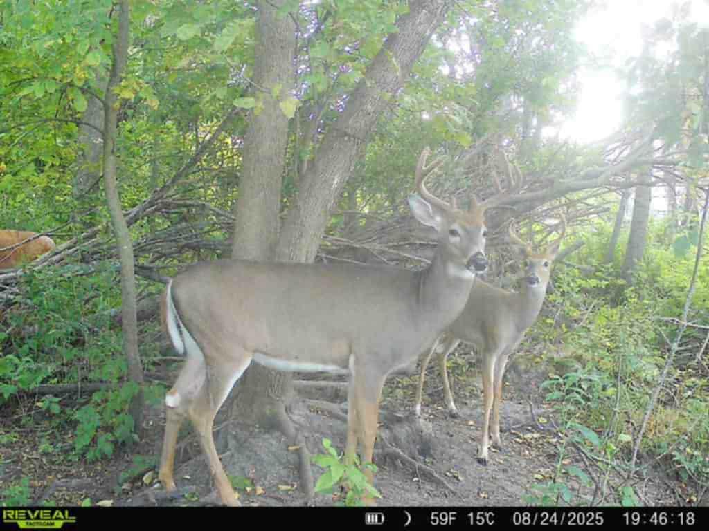 32317 170th Street Isle, MN 56342 - Photo 11 of 14