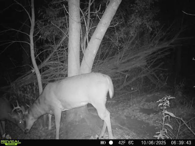 $250,000 | 32317 170th Street, Isle, MN 56342