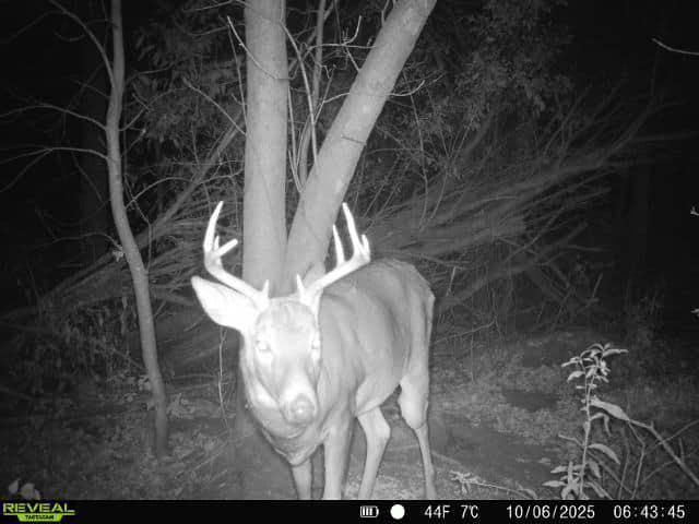 32317 170th Street Isle, MN 56342 - Photo 13 of 14