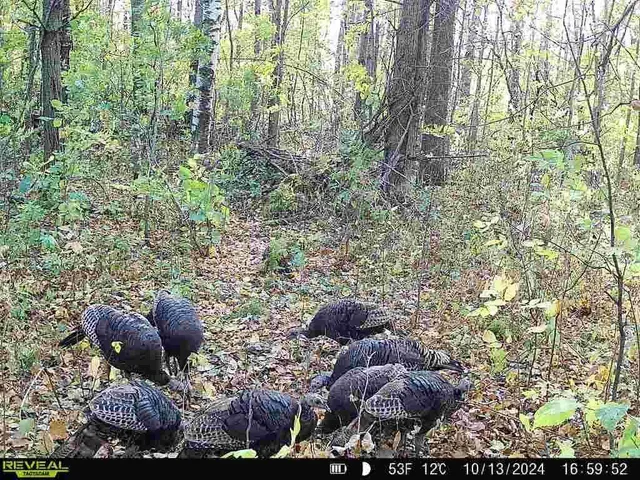 $250,000 | 32317 170th Street, Isle, MN 56342