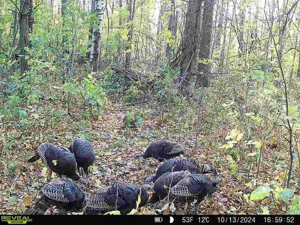 32317 170th Street Isle, MN 56342 - Photo 14 of 14