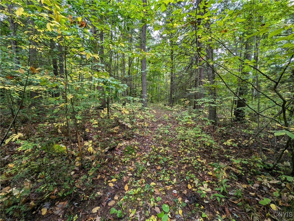 0 Bell Hill Road Painted Post, NY 14870 - Photo 1 of 1