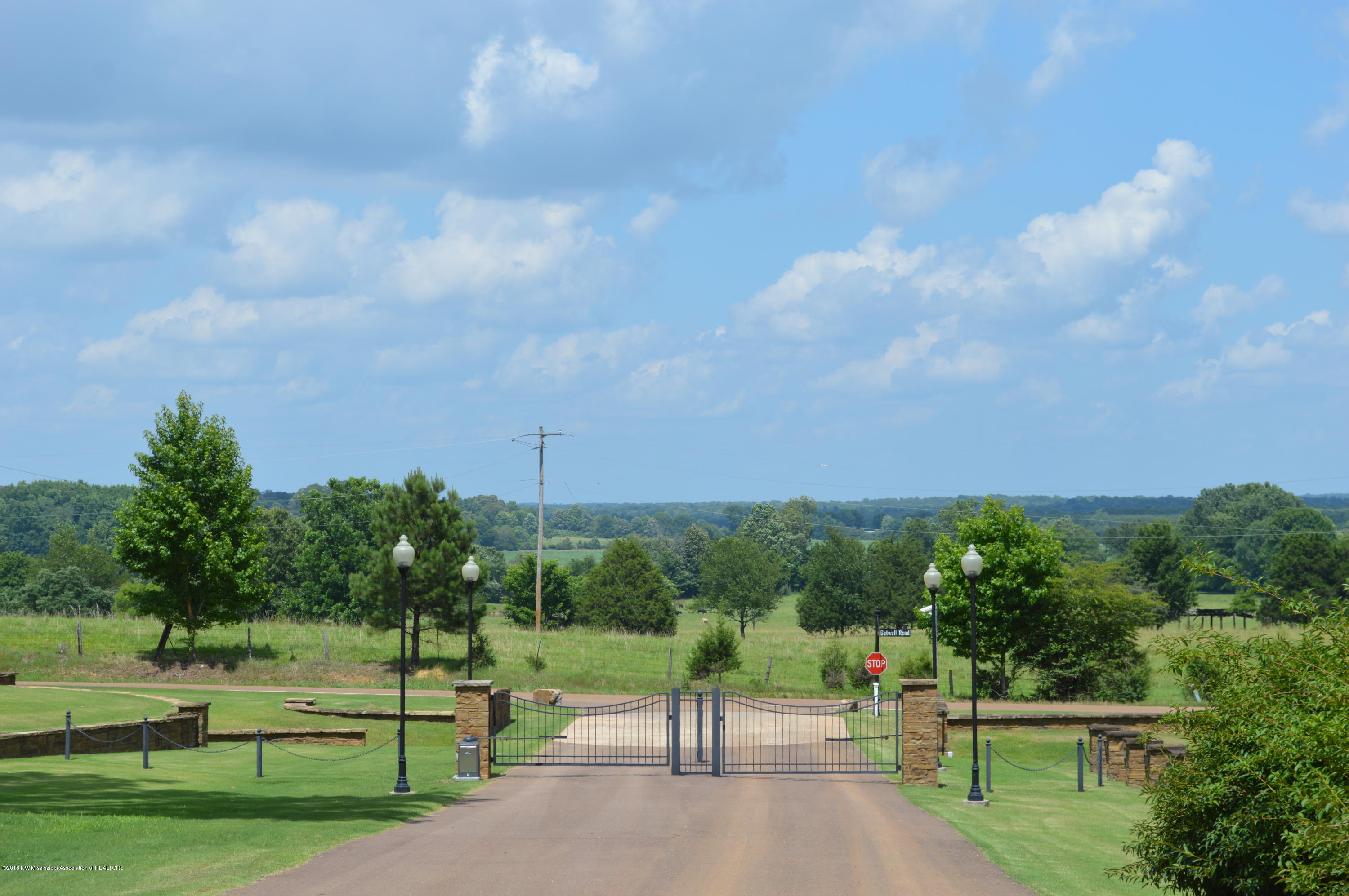 8 Plank Road Hernando, MS 38632 - Photo 4 of 9 Looking East