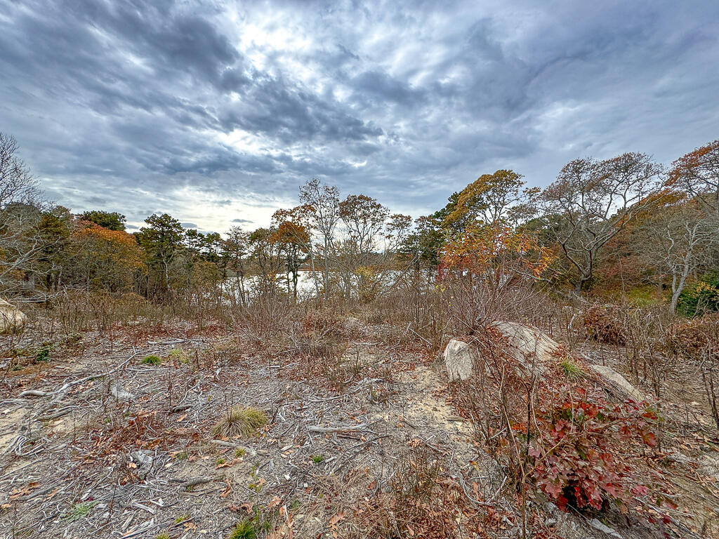 0 Run Hill Road Brewster, MA 02631 - Photo 6 of 27 Run Hill-05