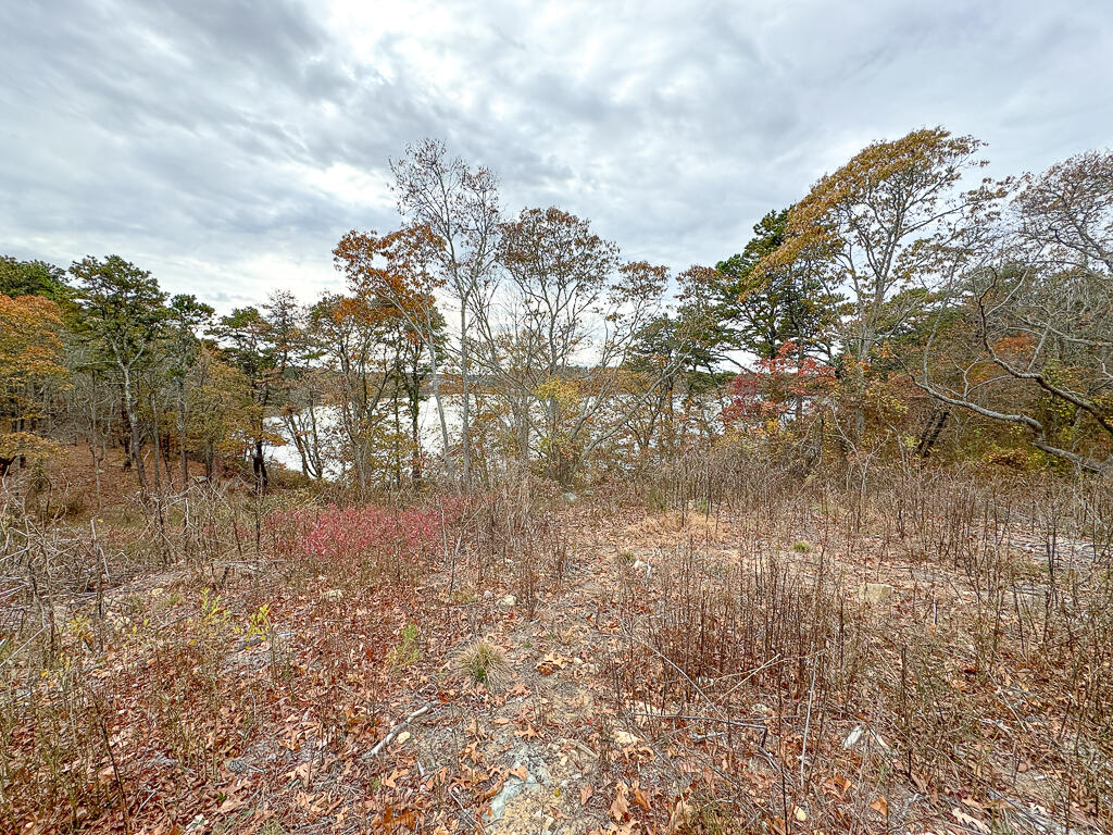 0 Run Hill Road Brewster, MA 02631 - Photo 7 of 27 Run Hill-06