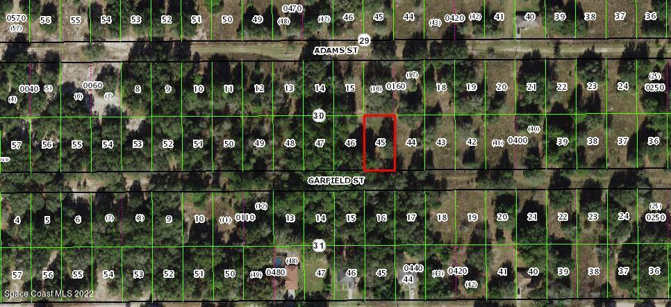 2402 Garfield Street Inverness, FL 34453 - Photo 1 of 3 a store room filled with lots of different kinds of wine