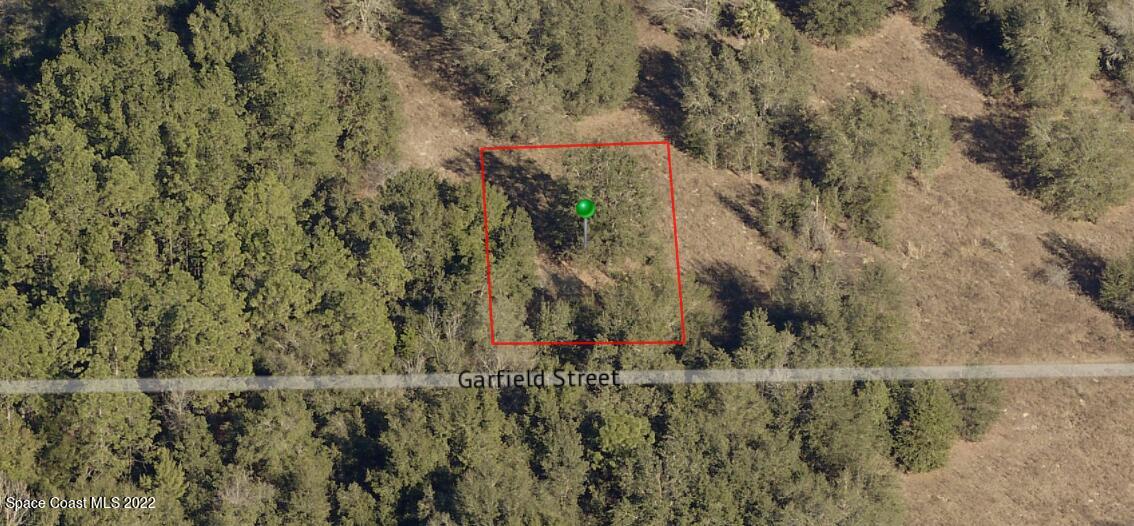 2402 Garfield Street Inverness, FL 34453 - Photo 3 of 3 a view of a yard with large trees