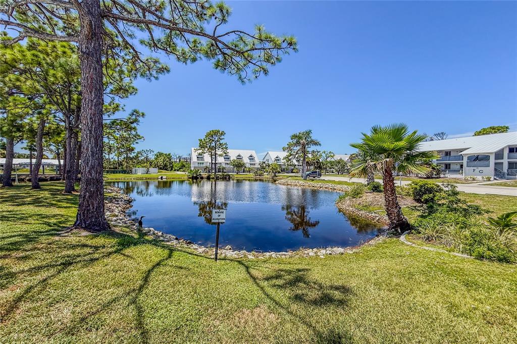 6800 Placida Road, Unit 1007 Englewood, FL 34224 - Photo 39 of 54