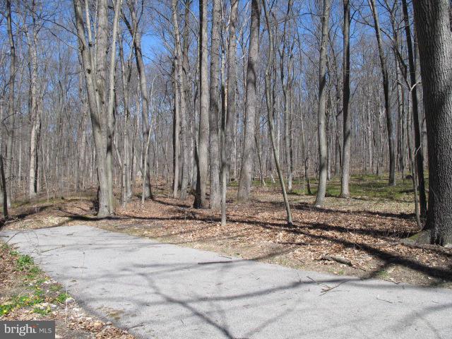 17312 Wesley Chapel Road Monkton, MD 21111 - Photo 1 of 8 Exterior (General)