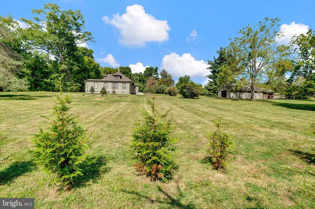 a view of a big yard with swimming pool and large trees
