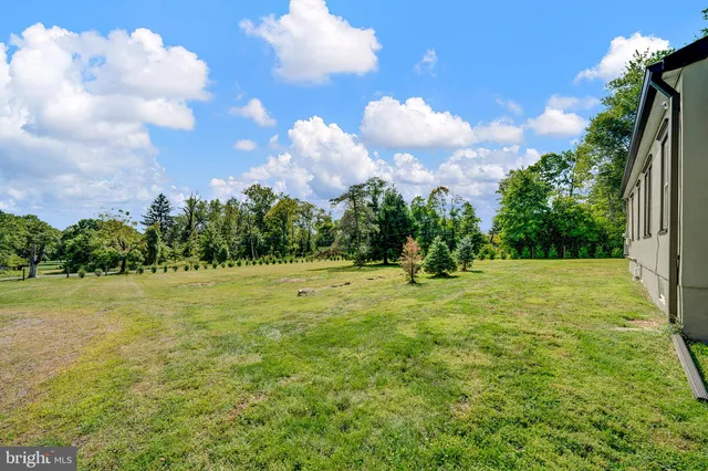 a view of a big yard with lots of green space