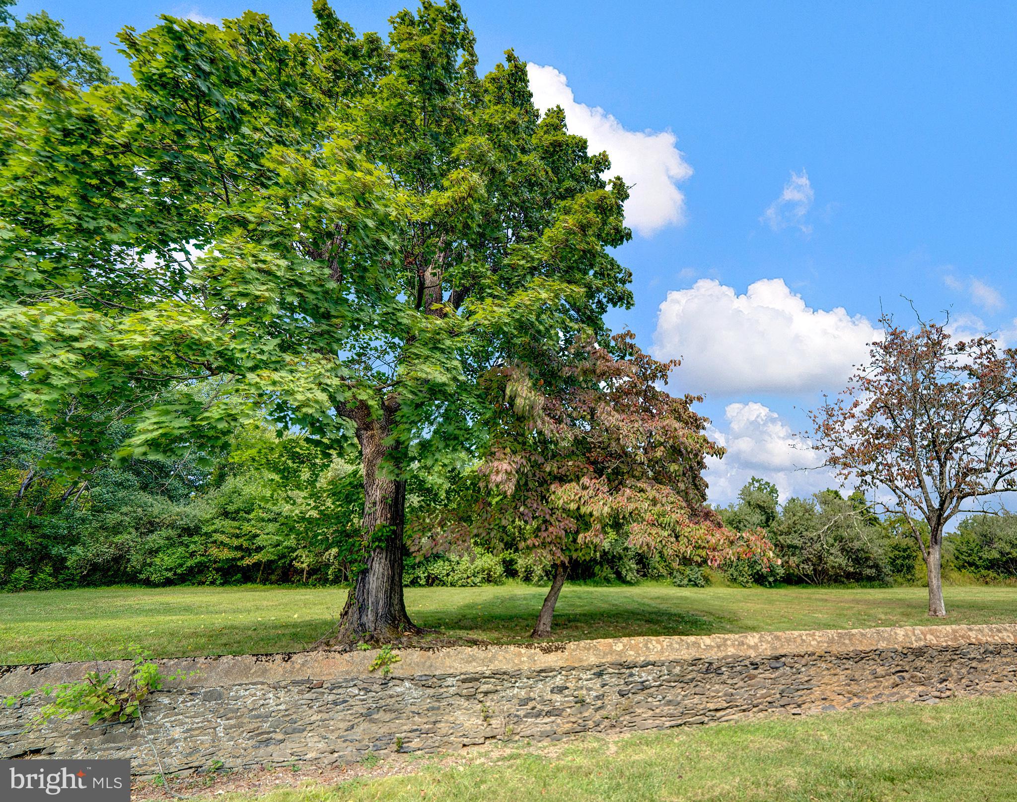 145 Hopewell - Wertsville Road Hopewell, NJ 08525 - Photo 38 of 39 a view of a park