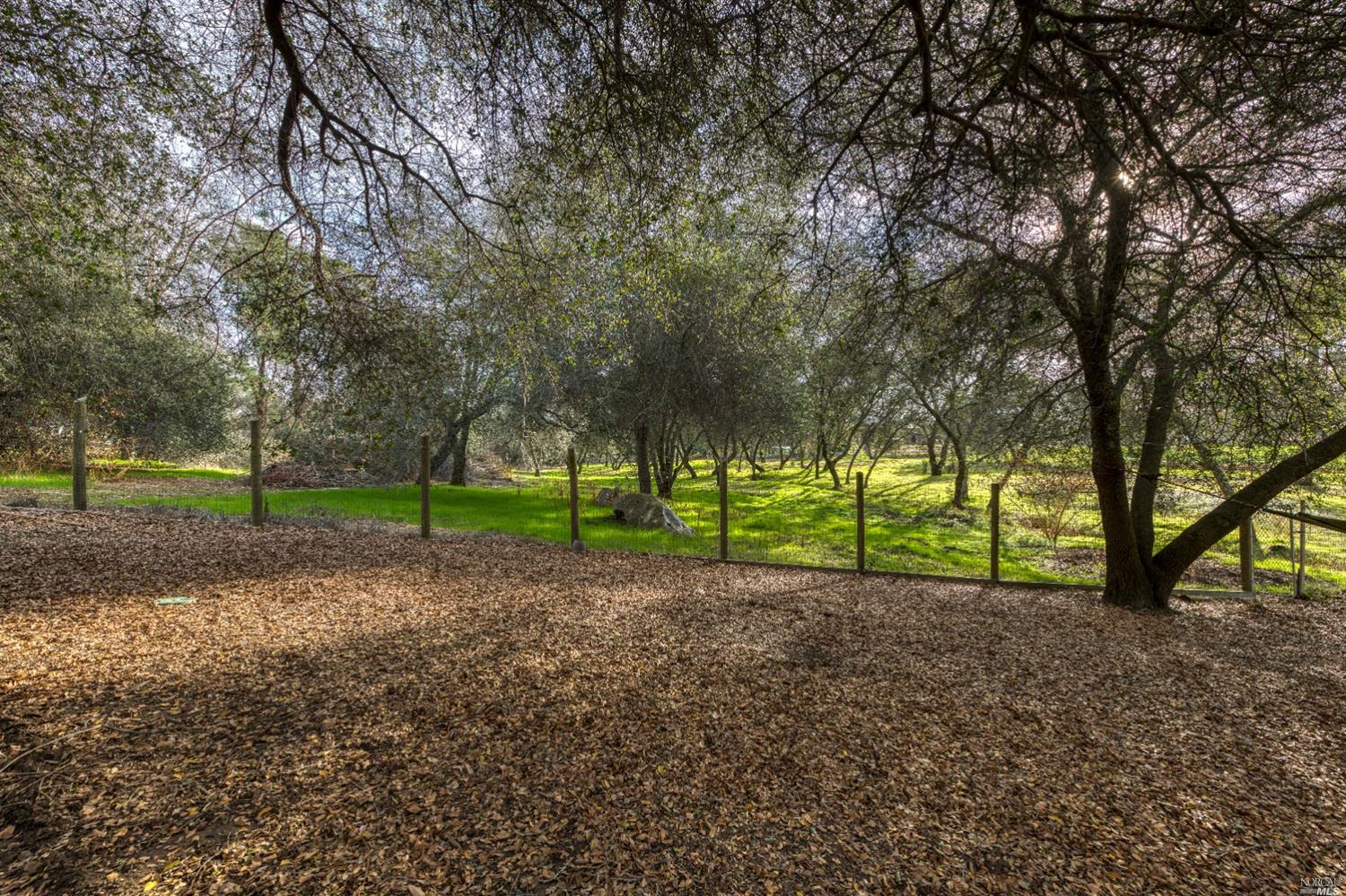 8596 Dick Cook Road Loomis, CA 95650 - Photo 41 of 50 Gallery Image 41