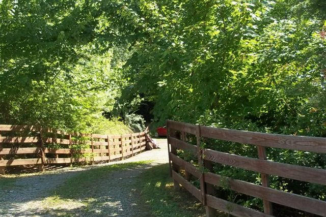 276 Myers Road Townsend, TN 37882 - Photo 2 of 35 100_6567