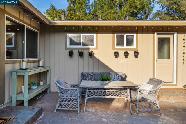 a view of a park with large trees