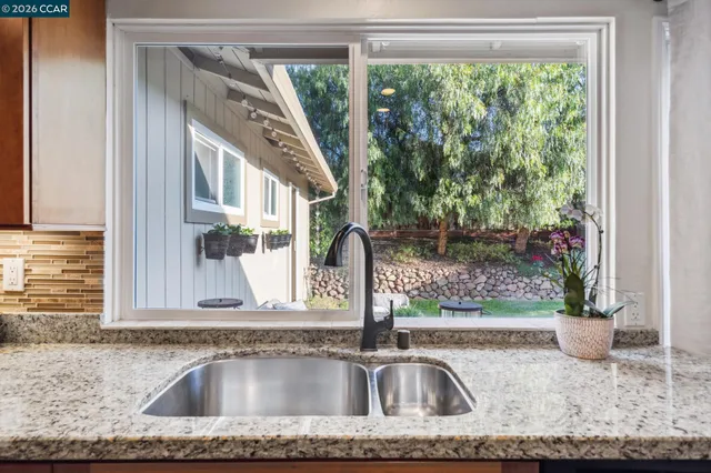 a view of a sink a mirror and a potted plant