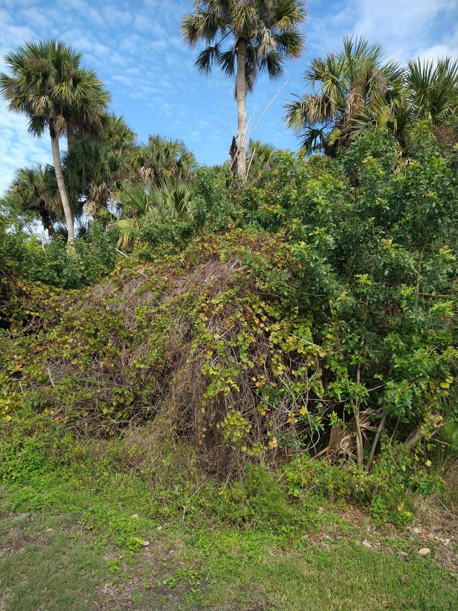 2361 Southwest Neal Road Port St. Lucie, FL 34953 - Photo 6 of 12 IMG_20211209_124307809