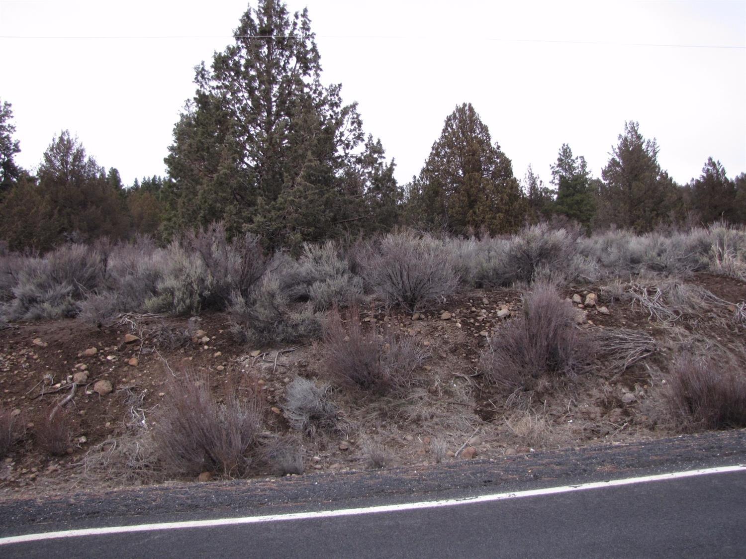 0 Lot 5 Drews Road Beatty, OR 97621 - Photo 10 of 10 Additional Photo
