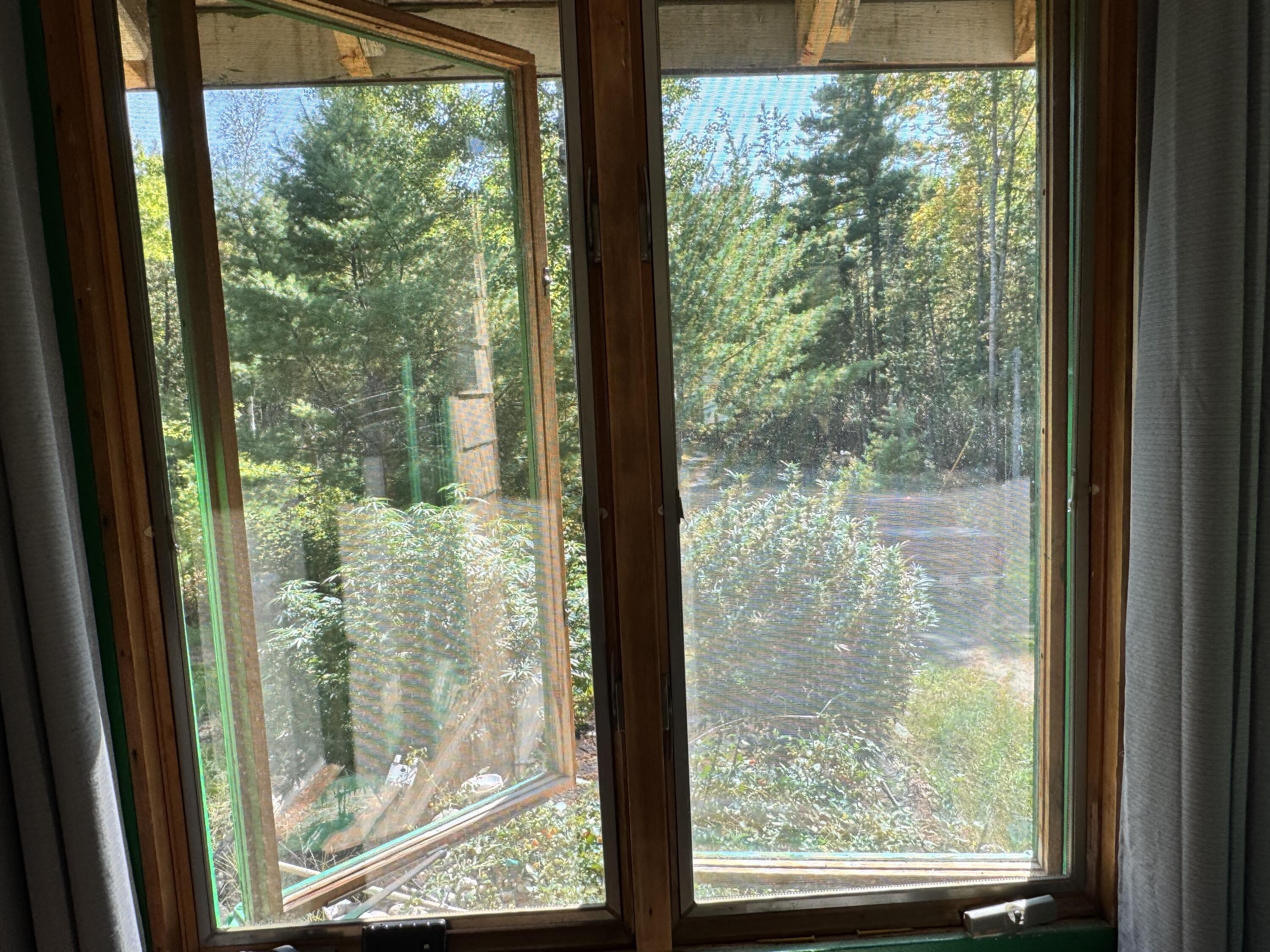 996 Mullen Road Stetson, ME 04488 - Photo 46 of 136 Living Room Window View