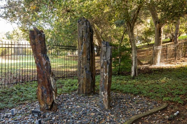 a view of a garden with plants