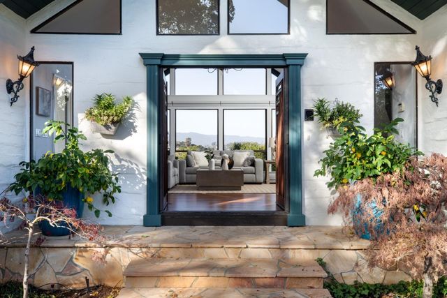 a potted plant sitting in front of a door