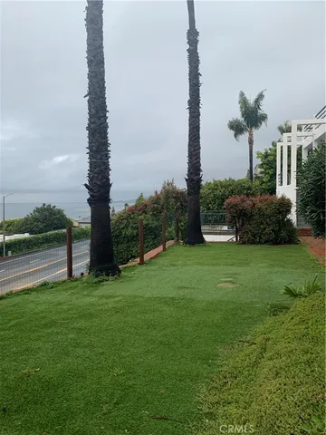 a view of a garden with a tree