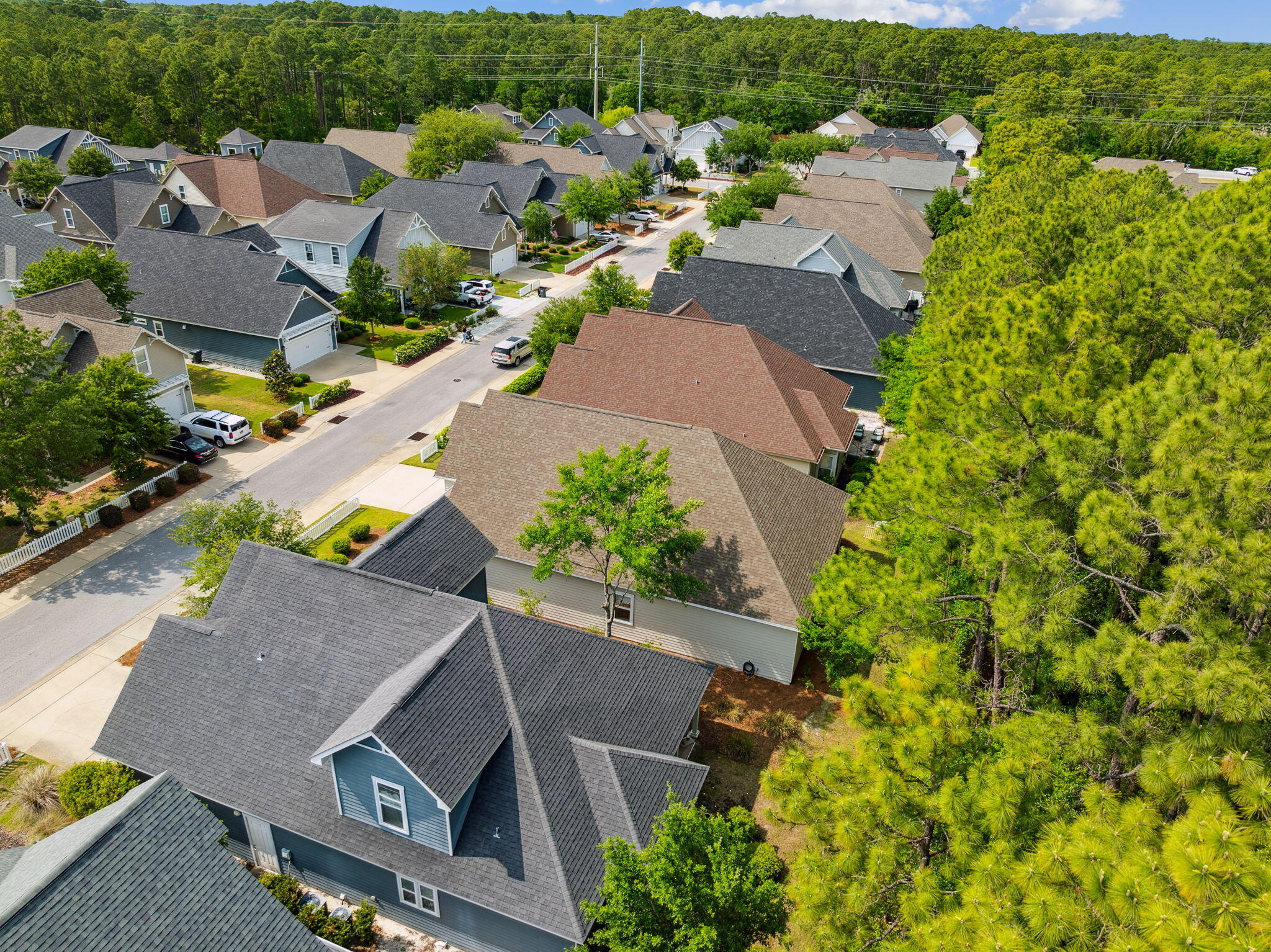 180 Blakely Drew Boulevard Santa Rosa Beach, FL 32459 - Photo 40 of 40 an aerial view of a house with a garden