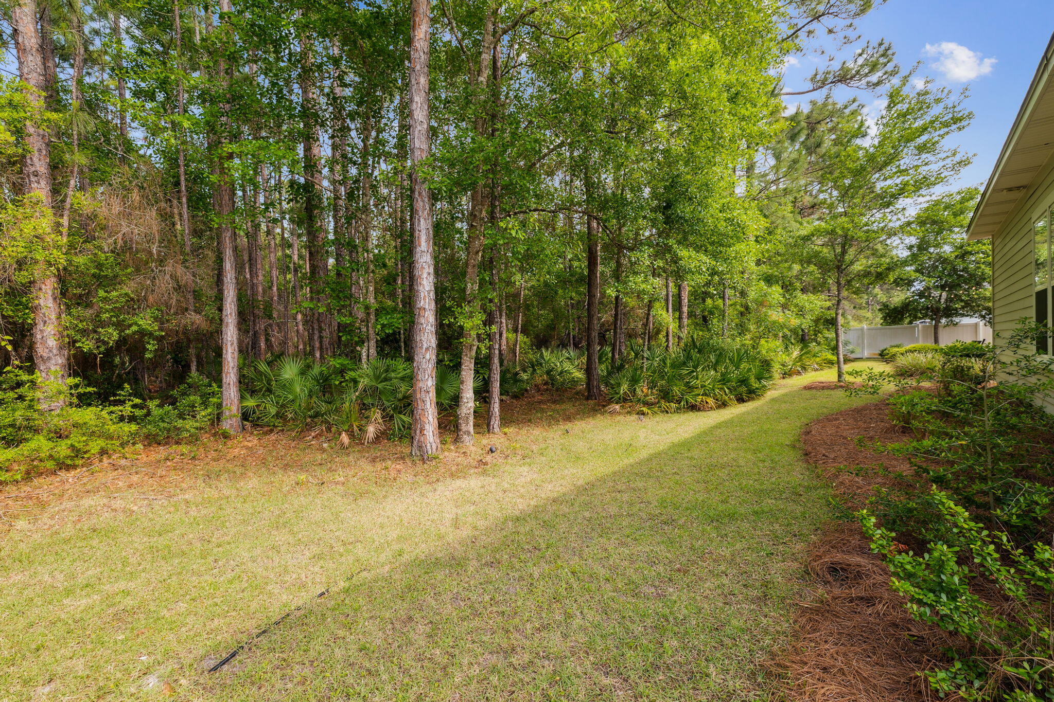 180 Blakely Drew Boulevard Santa Rosa Beach, FL 32459 - Photo 8 of 40 a backyard of a house with lots of green space