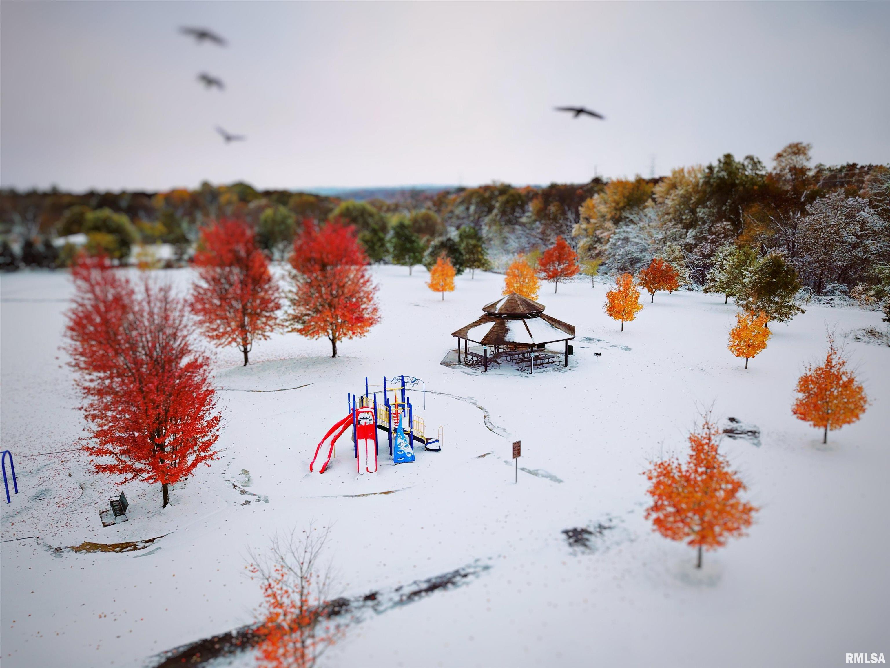 6713 North Sumac Road Edwards, IL 61528 - Photo 80 of 80