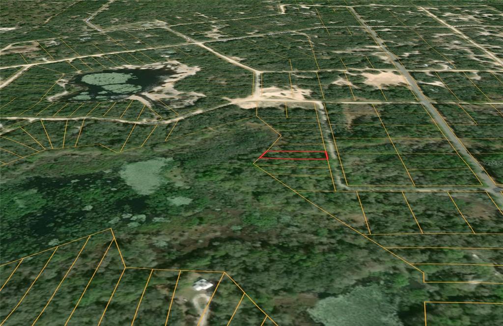 Chipstone Street Webster, FL 33597 - Photo 3 of 3 a view of a yard