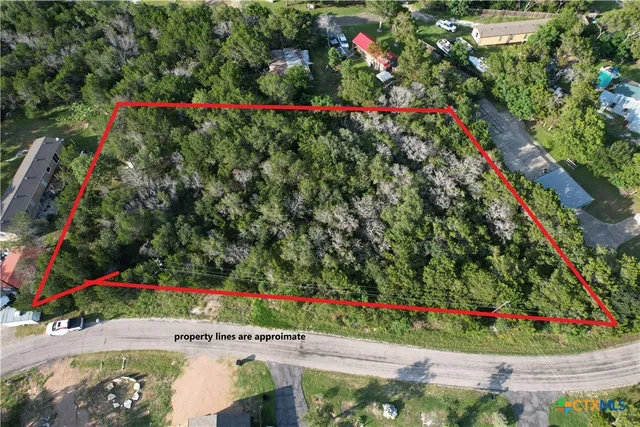 a view of a grassy field with trees