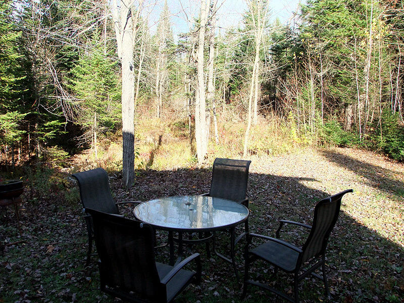 353 South Hemore Road Houlton, ME 04730 - Photo 9 of 35 lansingjones-ext7