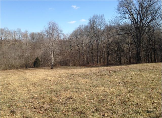 3963 Cross Plains Road Springfield, TN 37172 - Photo 3 of 5