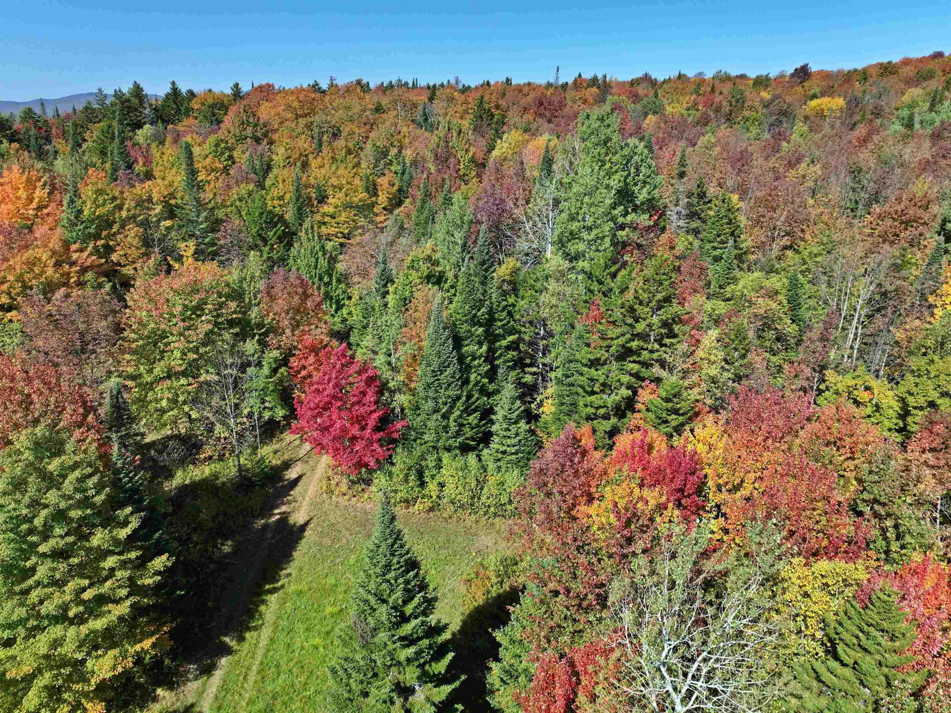 307 Kidder Hill Ridge Irasburg, VT 05845 - Photo 2 of 57