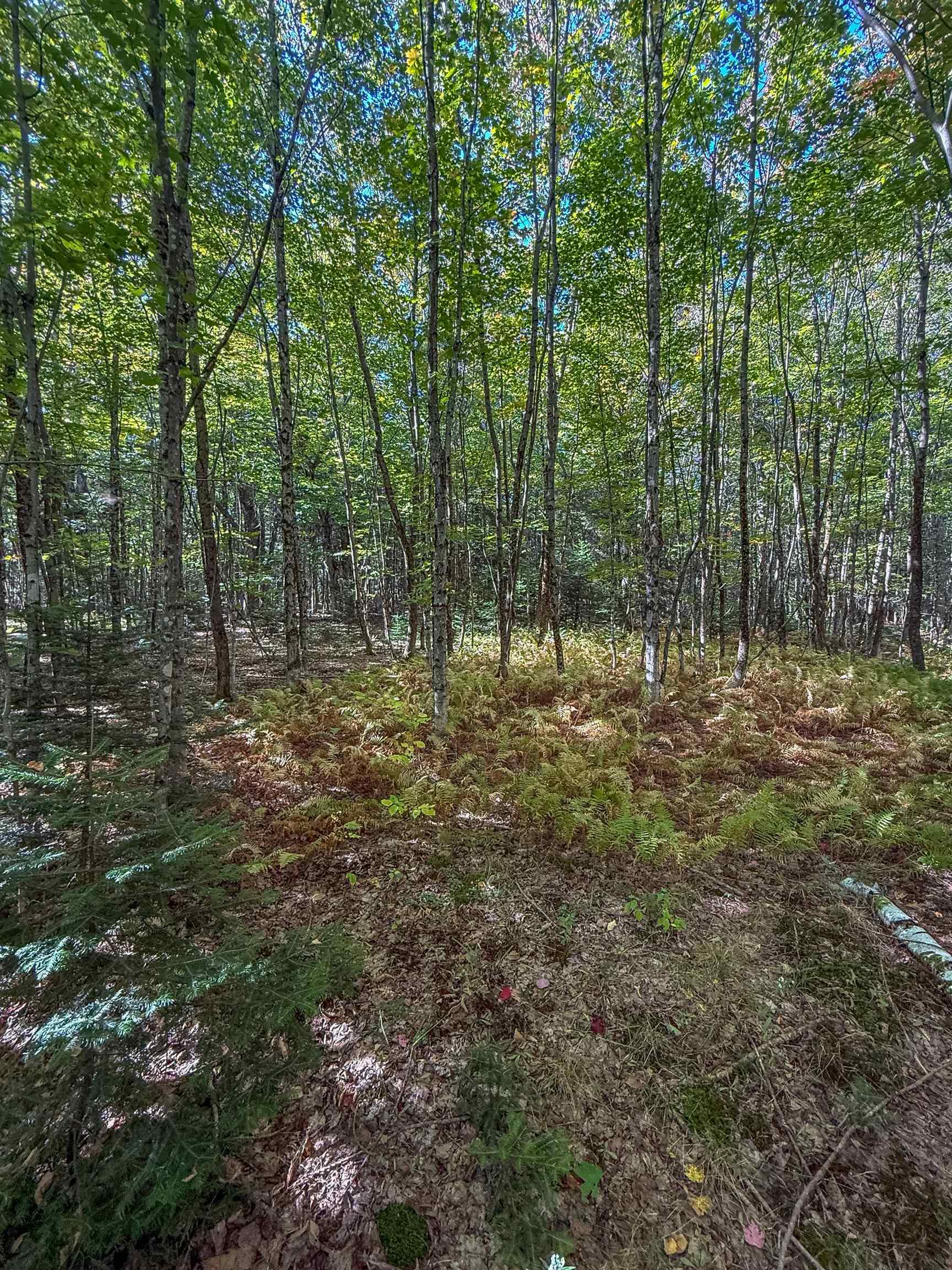 307 Kidder Hill Ridge Irasburg, VT 05845 - Photo 43 of 57