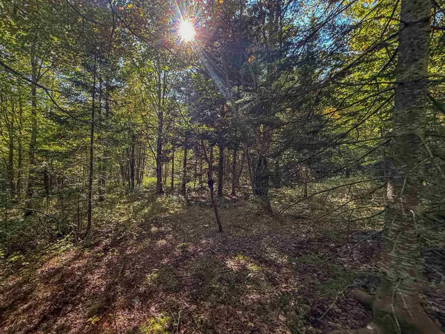 $189,500 | 307 Kidder Hill Ridge, Irasburg, VT 05845