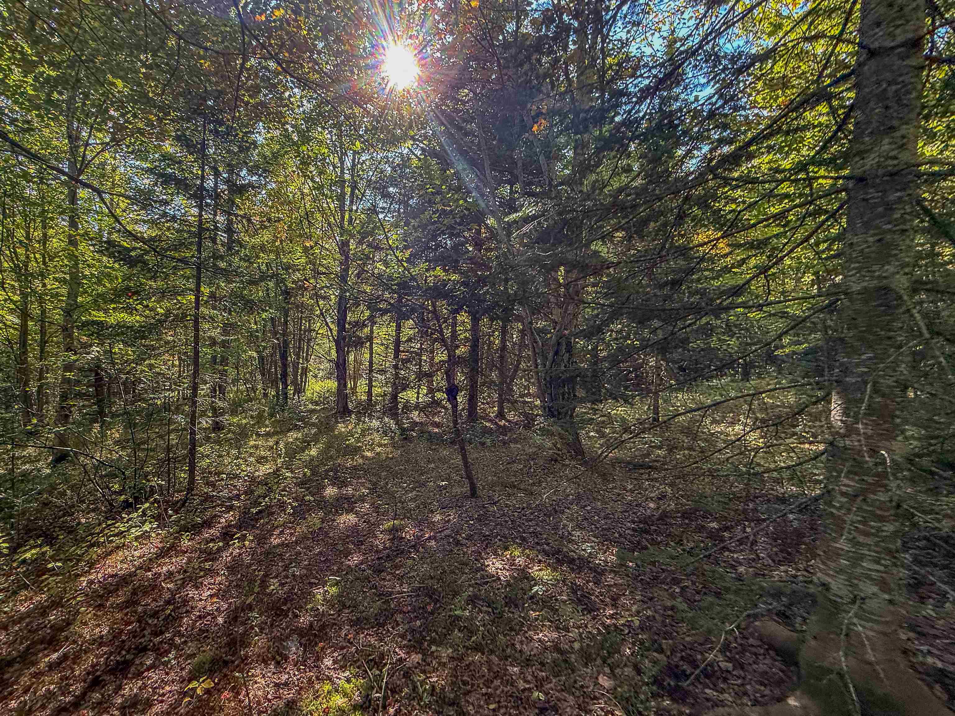 307 Kidder Hill Ridge Irasburg, VT 05845 - Photo 46 of 57