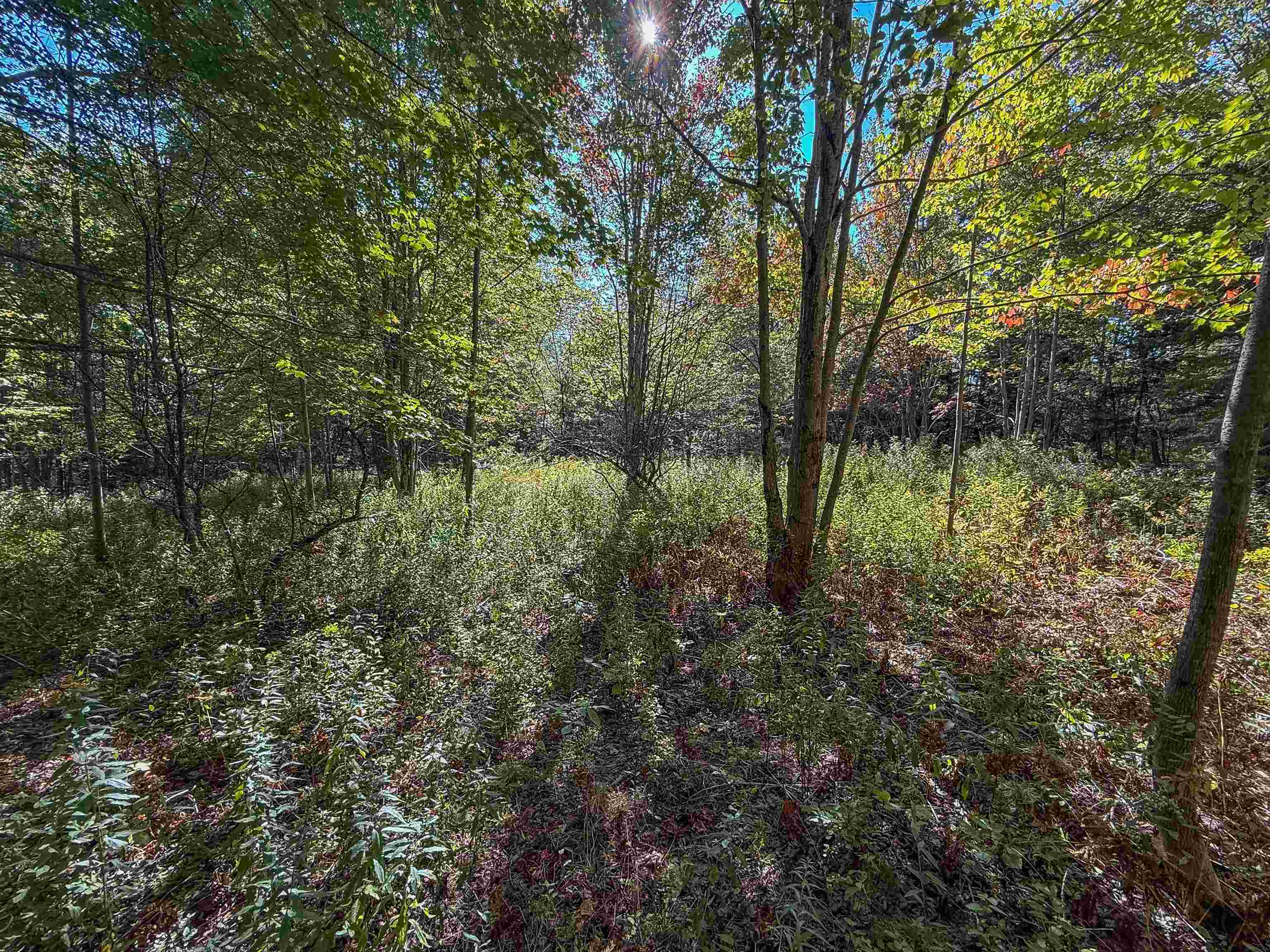 307 Kidder Hill Ridge Irasburg, VT 05845 - Photo 47 of 57