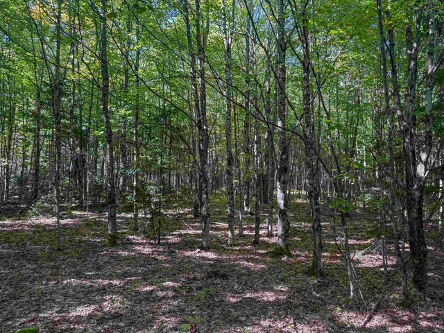 $189,500 | 307 Kidder Hill Ridge, Irasburg, VT 05845