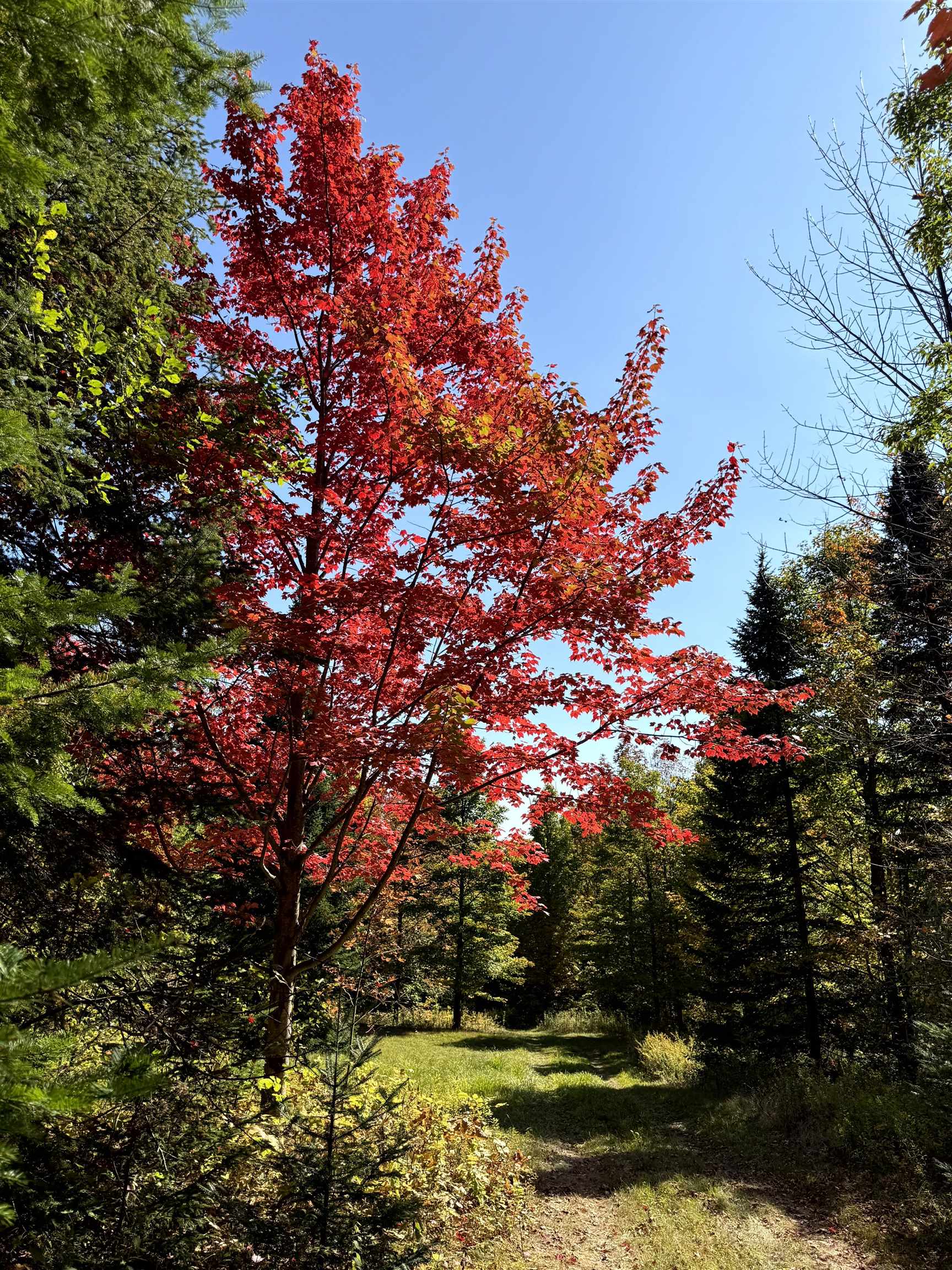 307 Kidder Hill Ridge Irasburg, VT 05845 - Photo 50 of 57