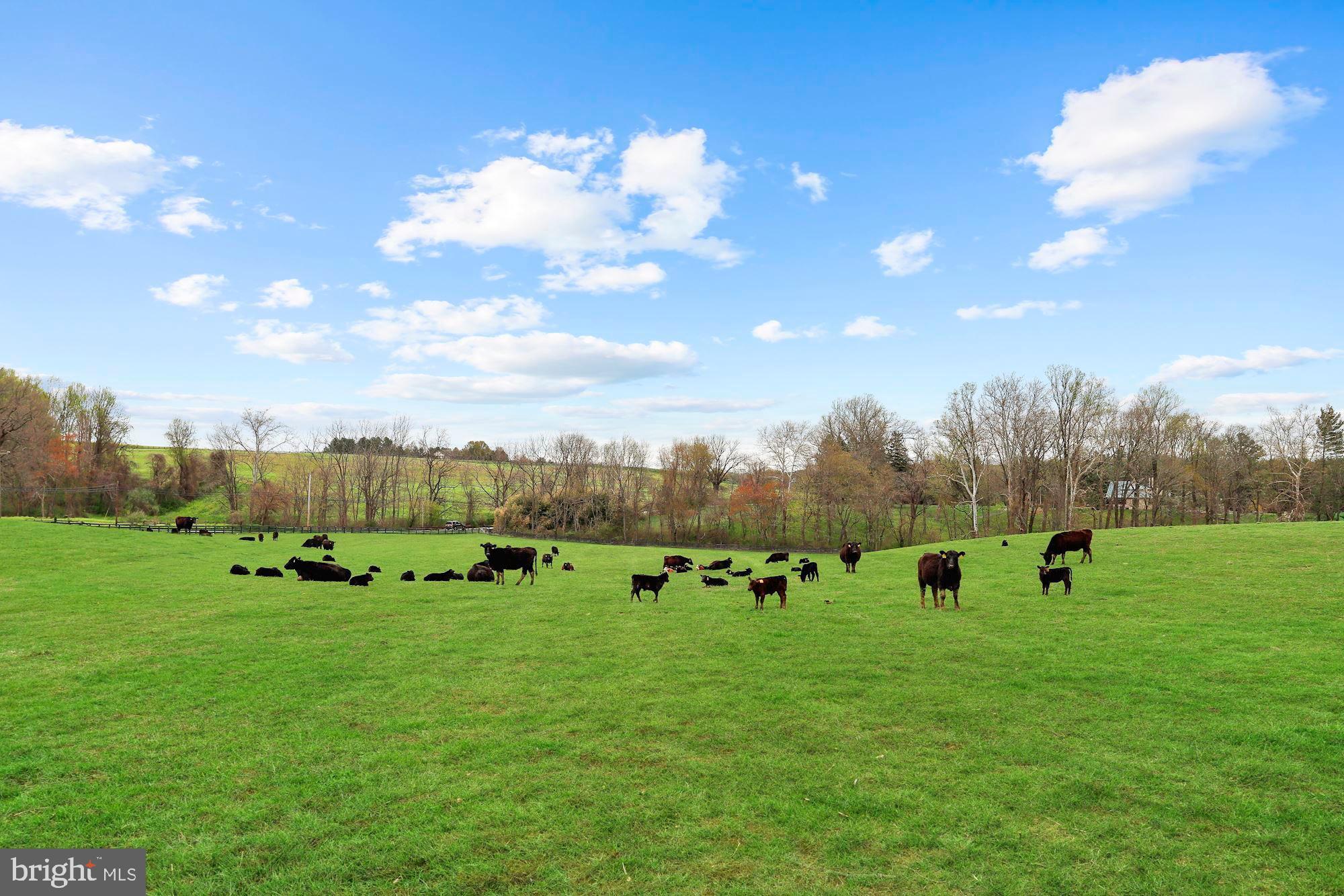 15315 Carroll Road Monkton, MD 21111 - Photo 52 of 68 Picturesque Views