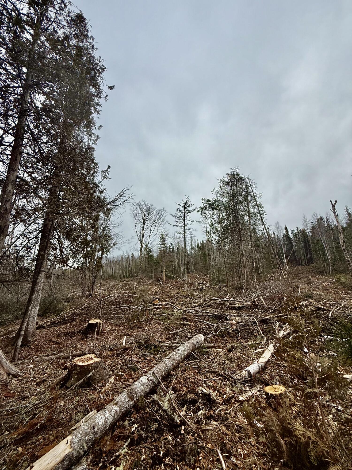 L1 Lively Brook, Unit ACRES Whiting, ME 04691 - Photo 12 of 27 IMG_0268