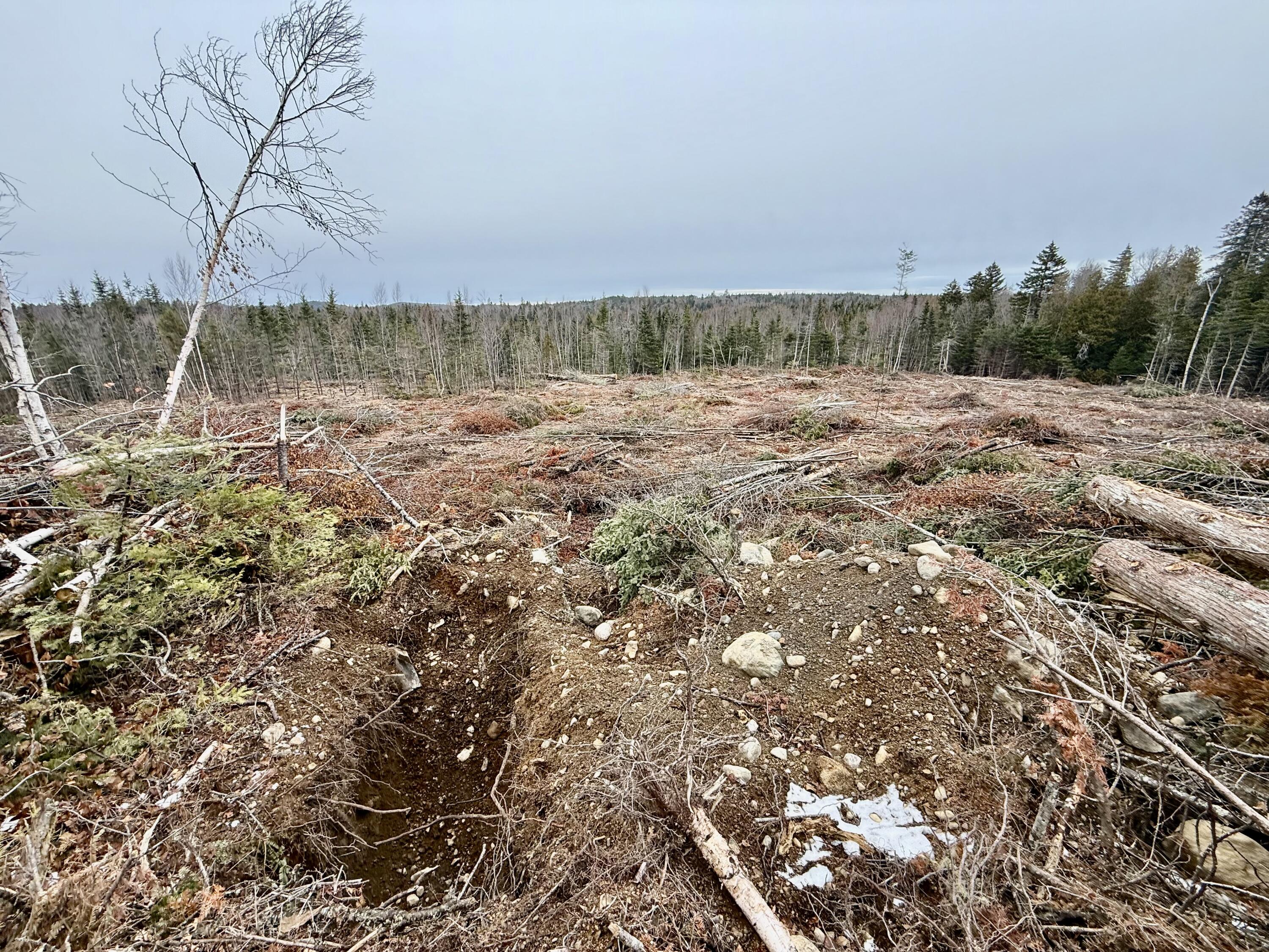 L1 Lively Brook, Unit ACRES Whiting, ME 04691 - Photo 13 of 27 IMG_0232