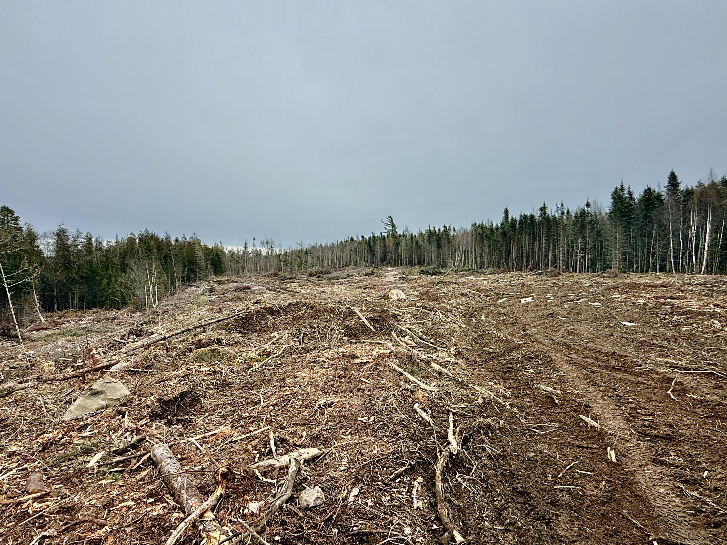 L1 Lively Brook, Unit ACRES Whiting, ME 04691 - Photo 14 of 27 IMG_0236