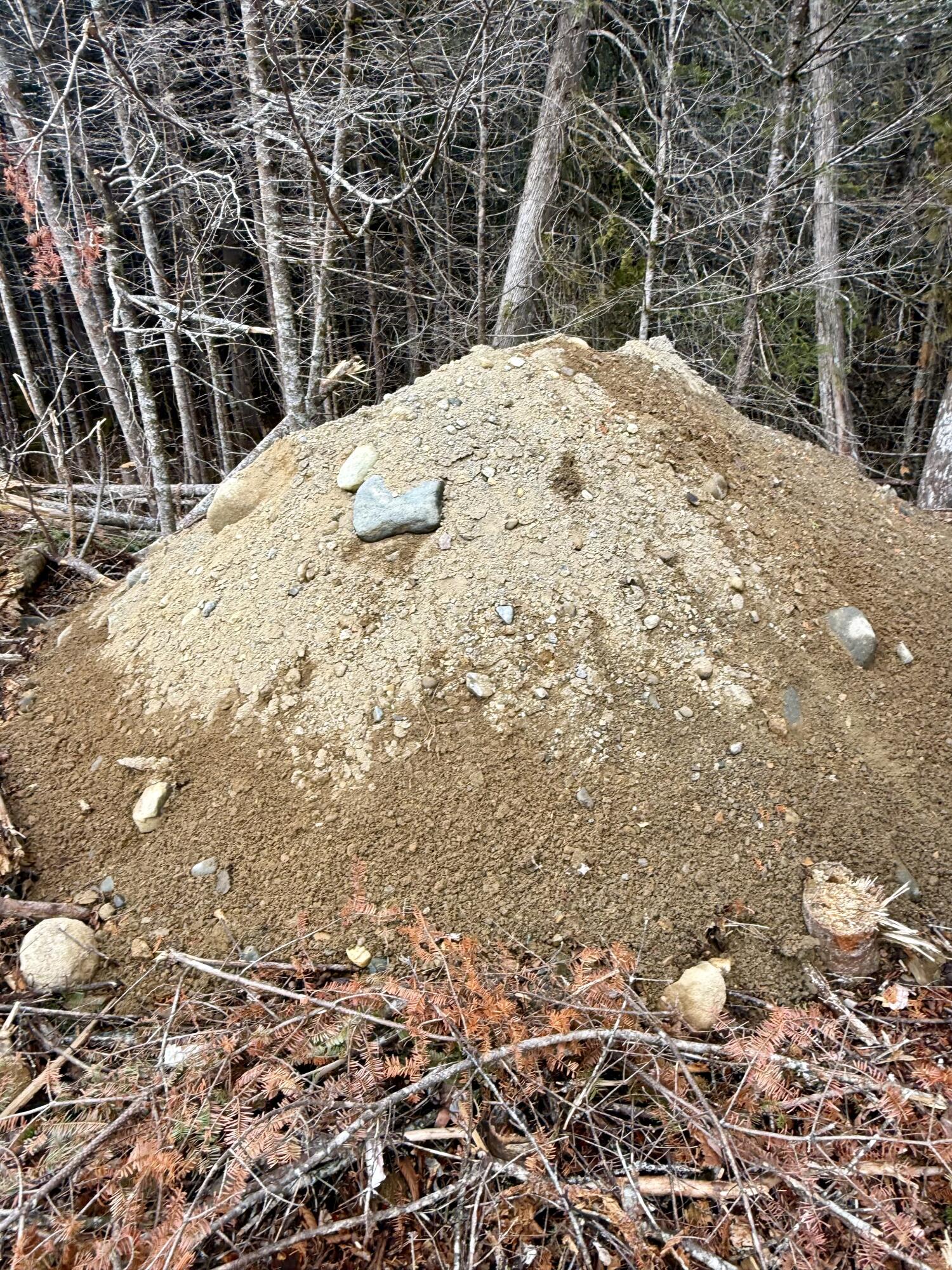 L1 Lively Brook, Unit ACRES Whiting, ME 04691 - Photo 16 of 27 IMG_0248