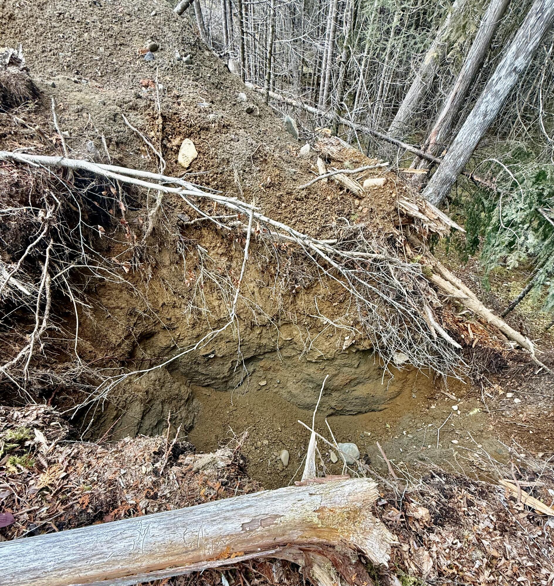 L1 Lively Brook, Unit ACRES Whiting, ME 04691 - Photo 17 of 27 IMG_0252