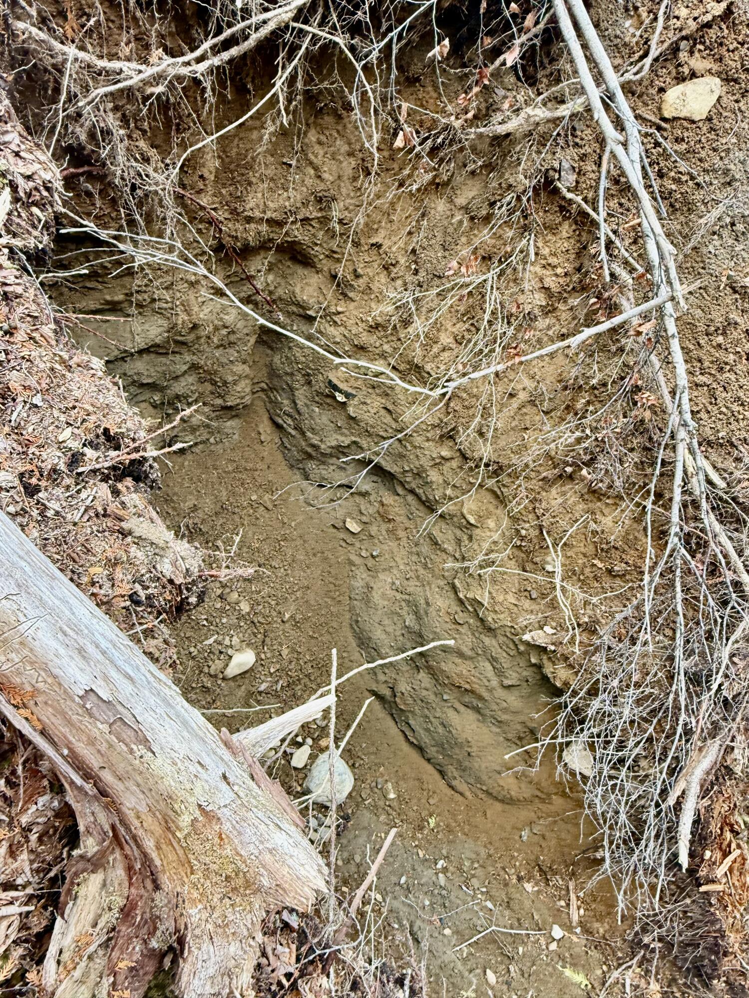 L1 Lively Brook, Unit ACRES Whiting, ME 04691 - Photo 18 of 27 IMG_0251