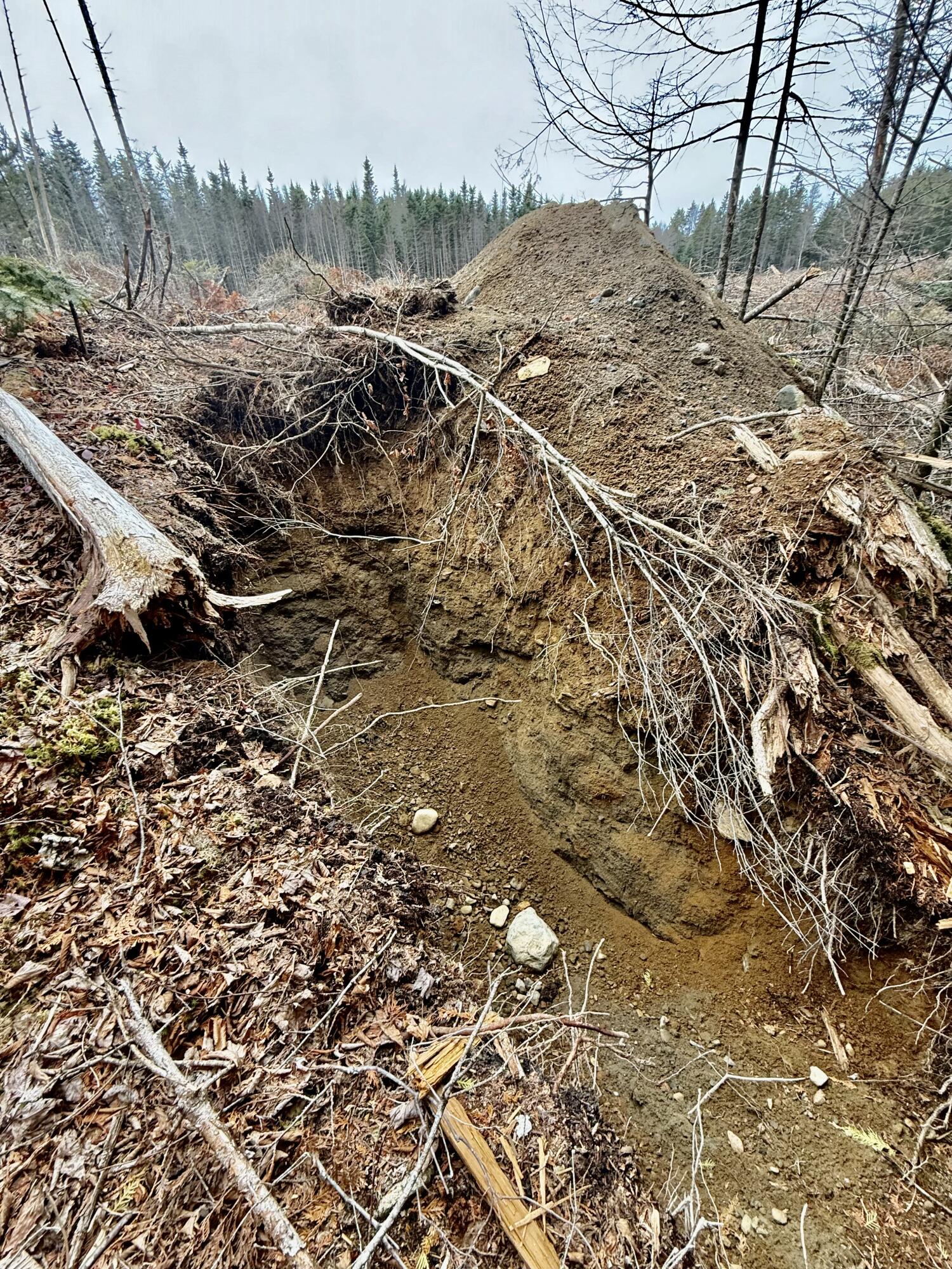 L1 Lively Brook, Unit ACRES Whiting, ME 04691 - Photo 19 of 27 IMG_0254